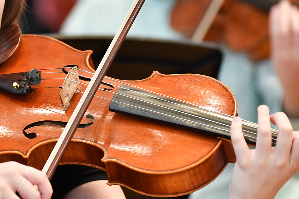 viola nubuck pavement