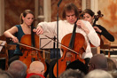 Julian Lloyd Webber image
