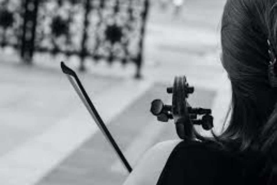 A black and white image of a violinist from behind