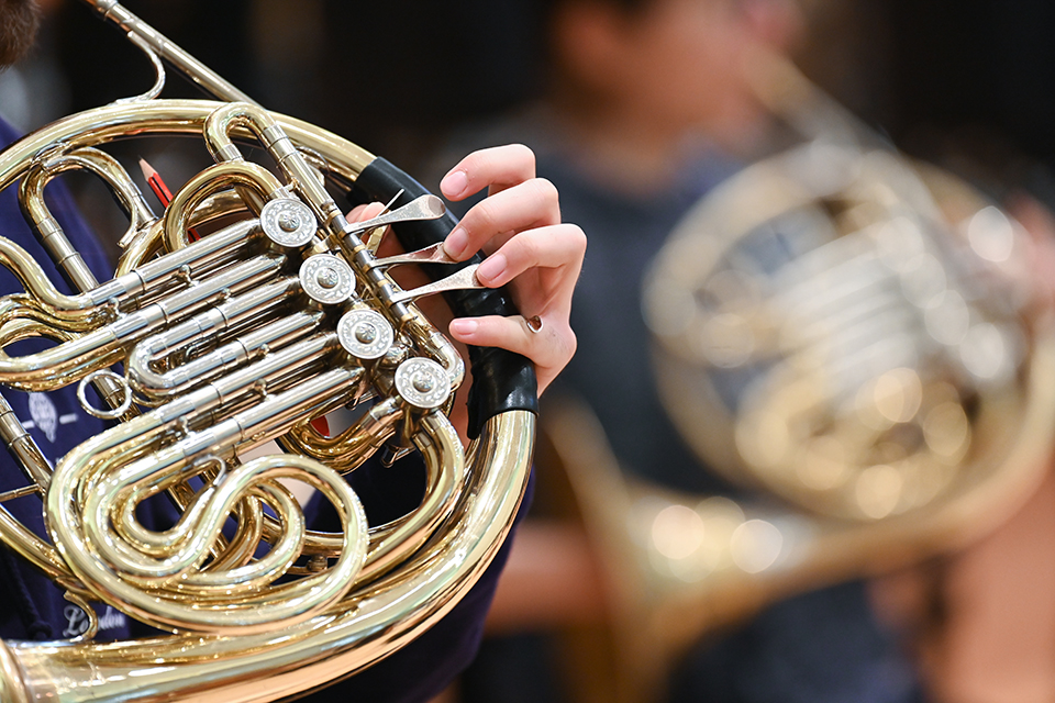 A close up image of someone playing a French Horn, with an out of focus shot of another French Horn in the background