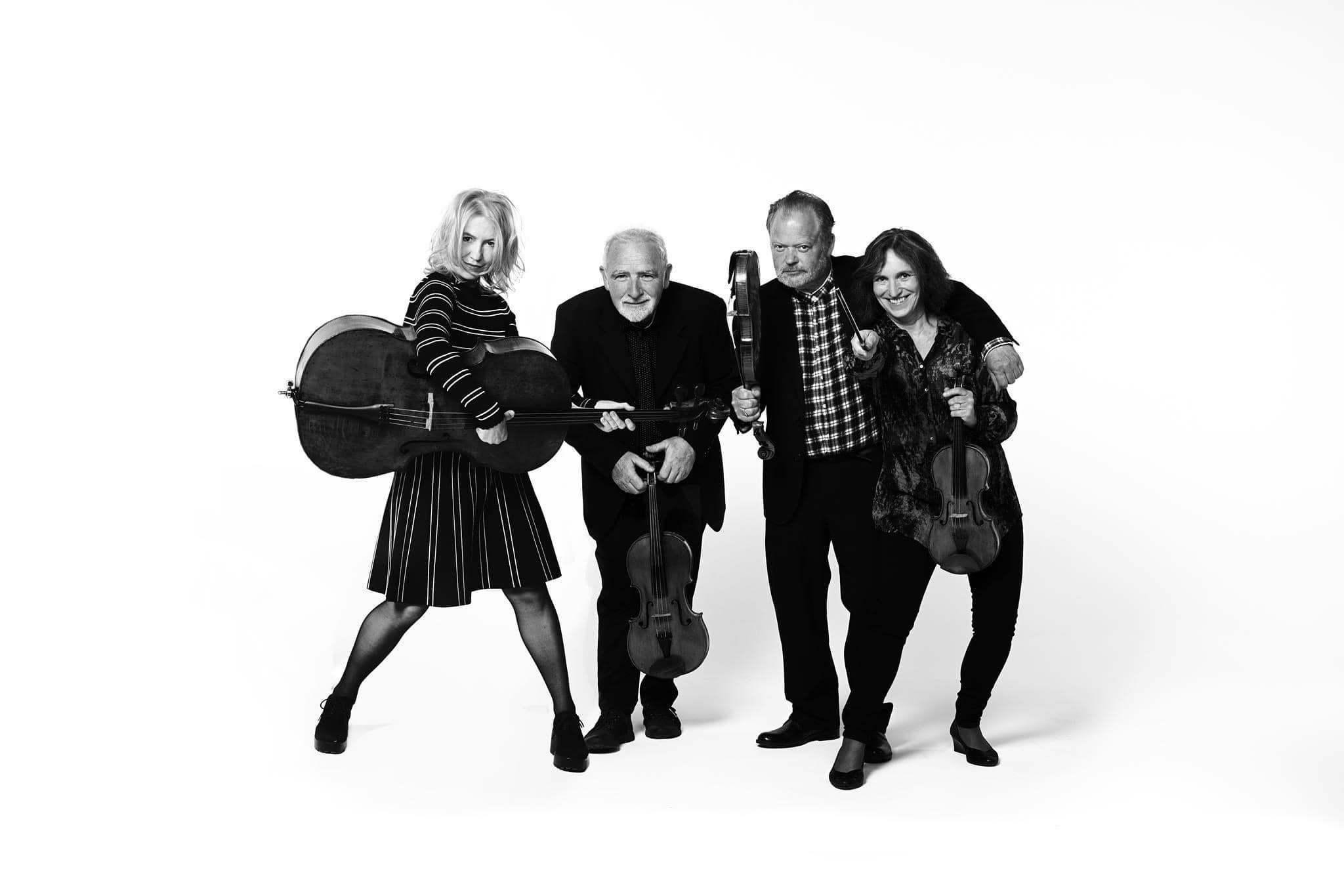 Four string musicians wearing black against a plain white background and looking into the camera