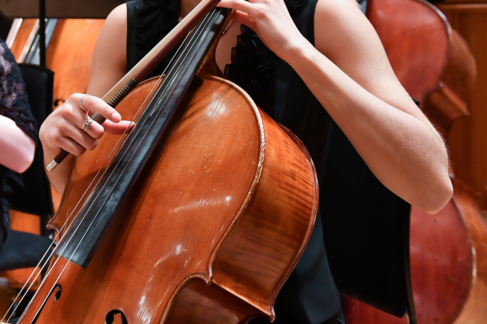 Close up of a cello player holding bow and plucking strings during a performance