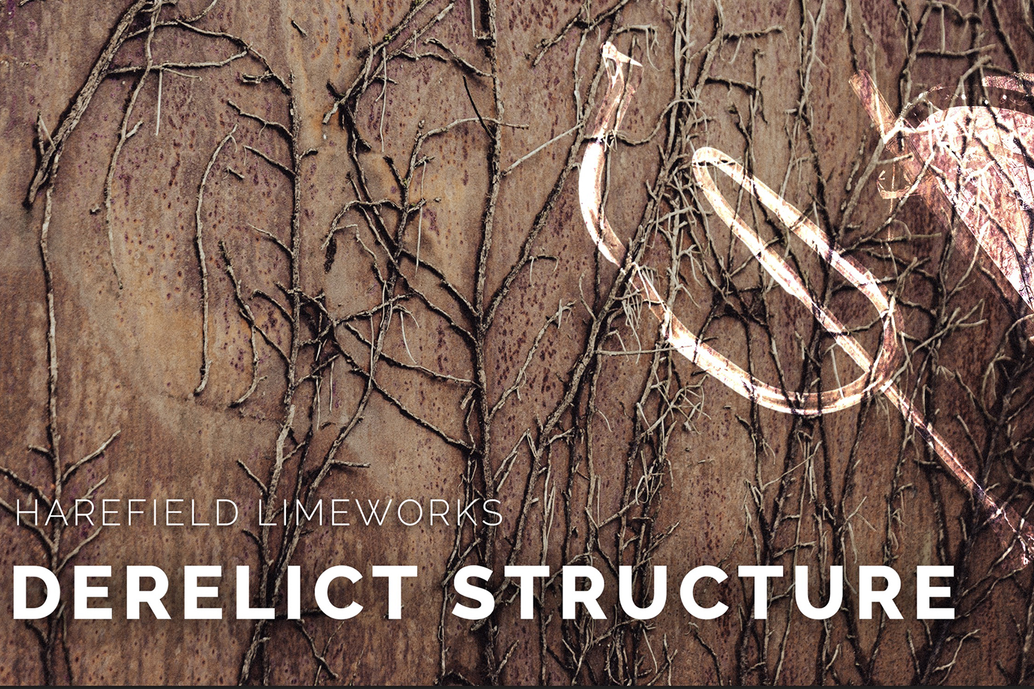 The words 'Harefield Limeworks Derelict Structure' written in white written over an abstract image which appears to be the bark of a tree