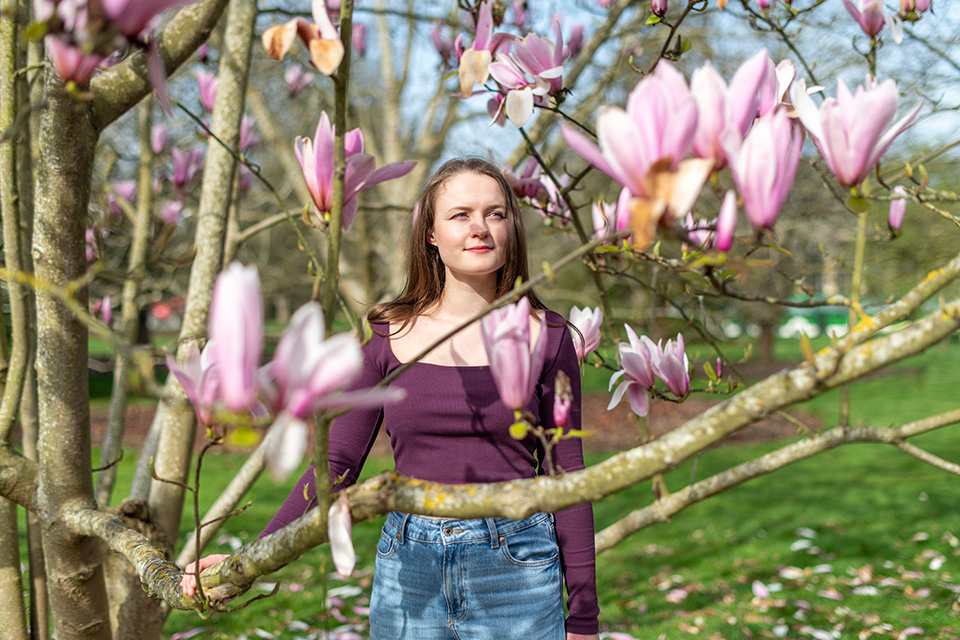 Pink blossom trees at Kew Gardens