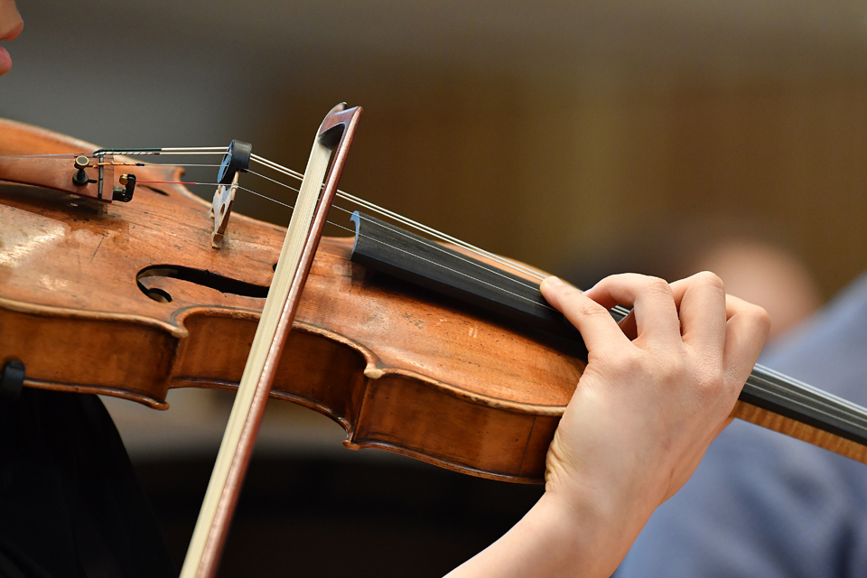 A close up image of a violin